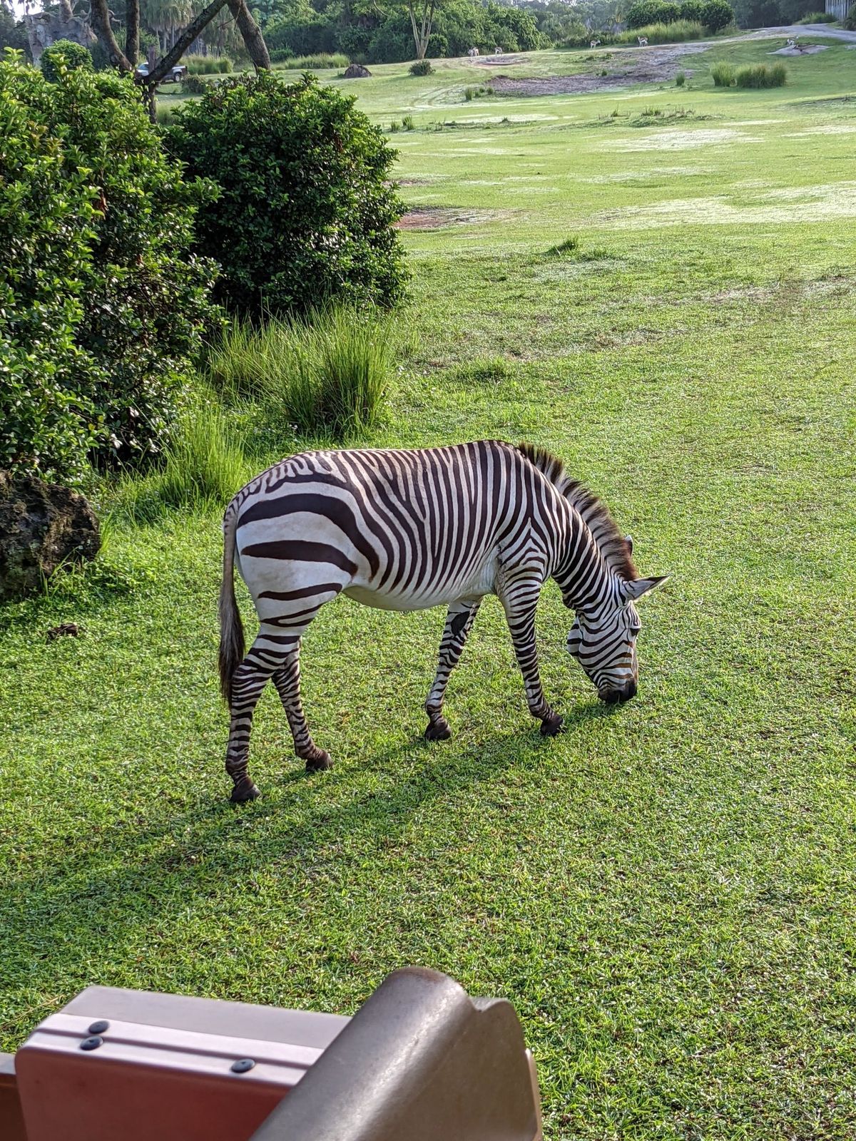 Google Pixel 5a Camera Sample
