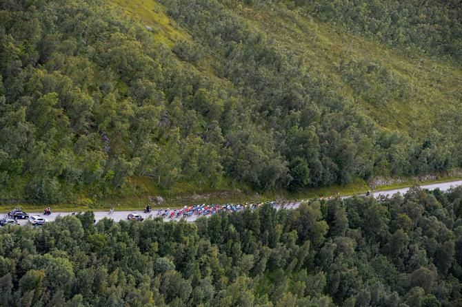 The peloton