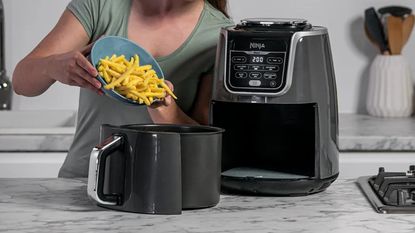 The 8 Best Large Capacity Air Fryers of 2024, Tested & Reviewed