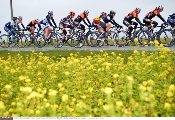 The peloton passes by a field of flowers