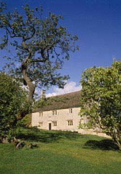 Newton's apple tree