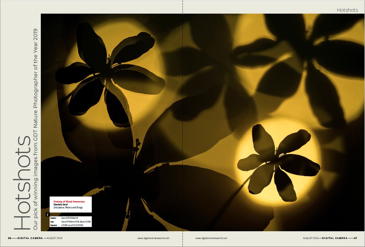 DCam 219 Hotshots opening spread image
