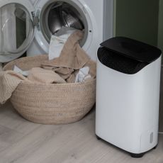 Meaco DD8L Pro Desiccant dehumidifier by a laundry basket and washing machine