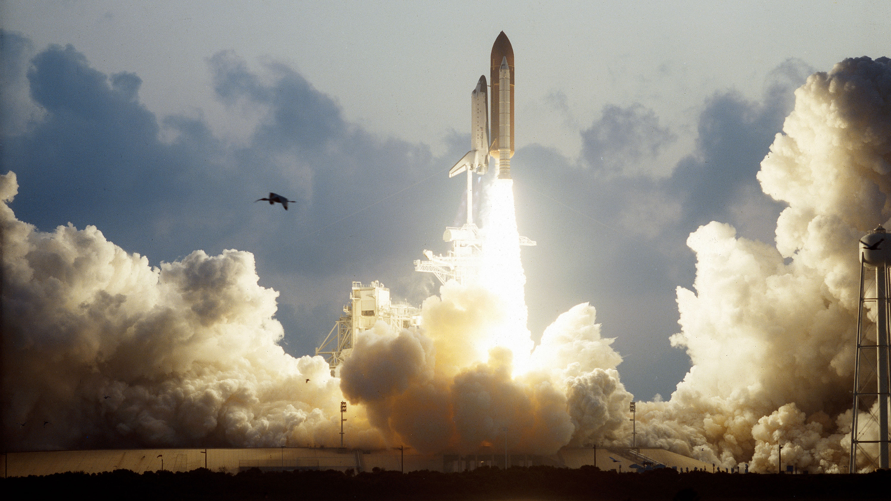 a space shuttle lifts off into the dusk sky as a large bird clears the area.