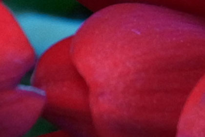 ISO 200 crop