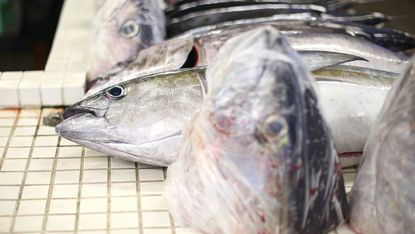 A man has been given free fish heads for life after rescuing four people
