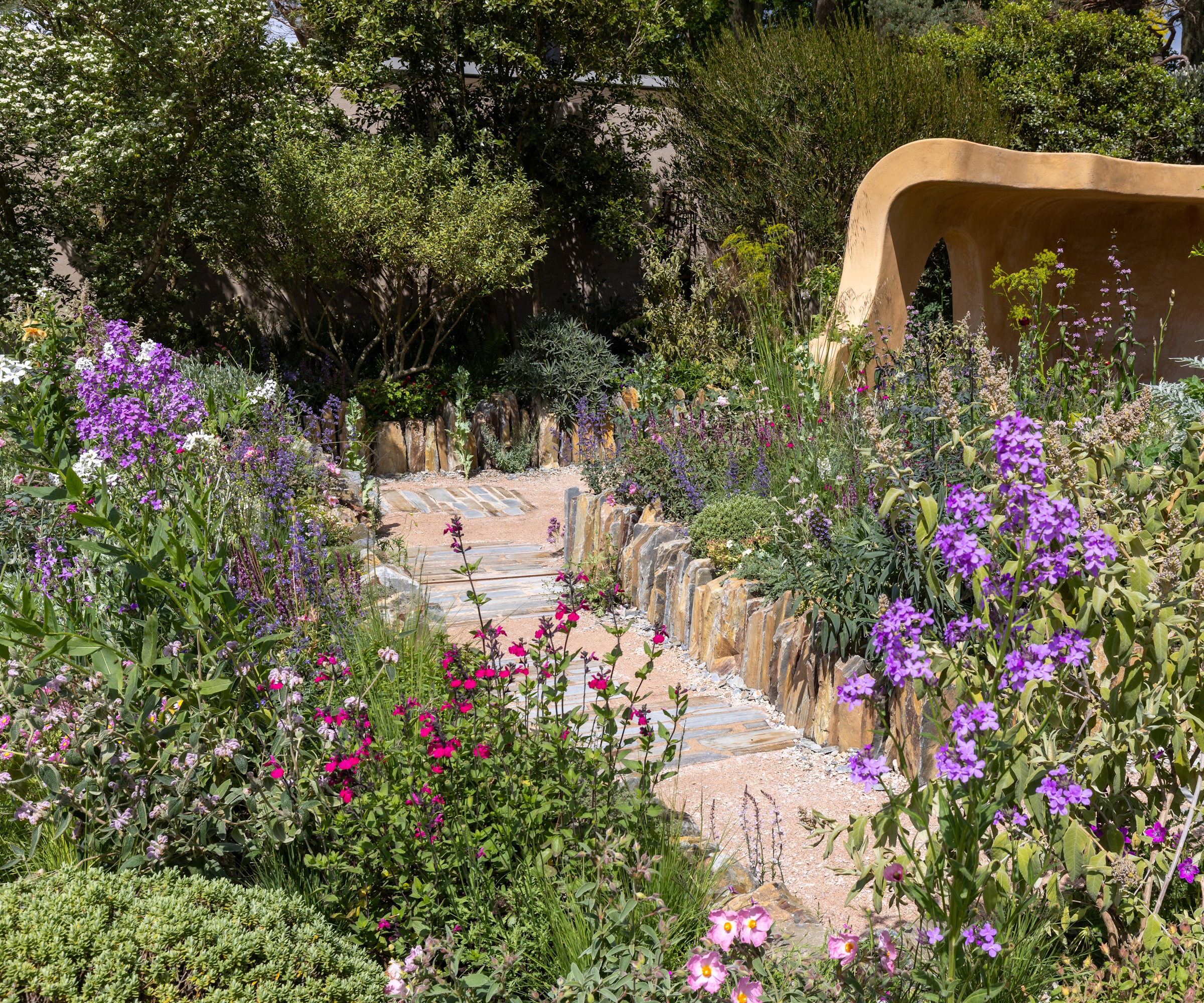 Soft, wild planting with lilac and magenta flowers, either side of a red stone path