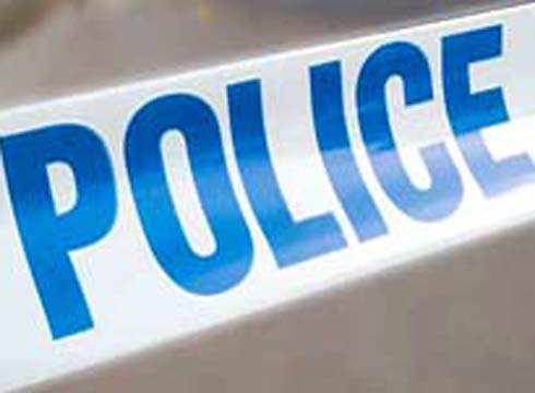 police490.jpg