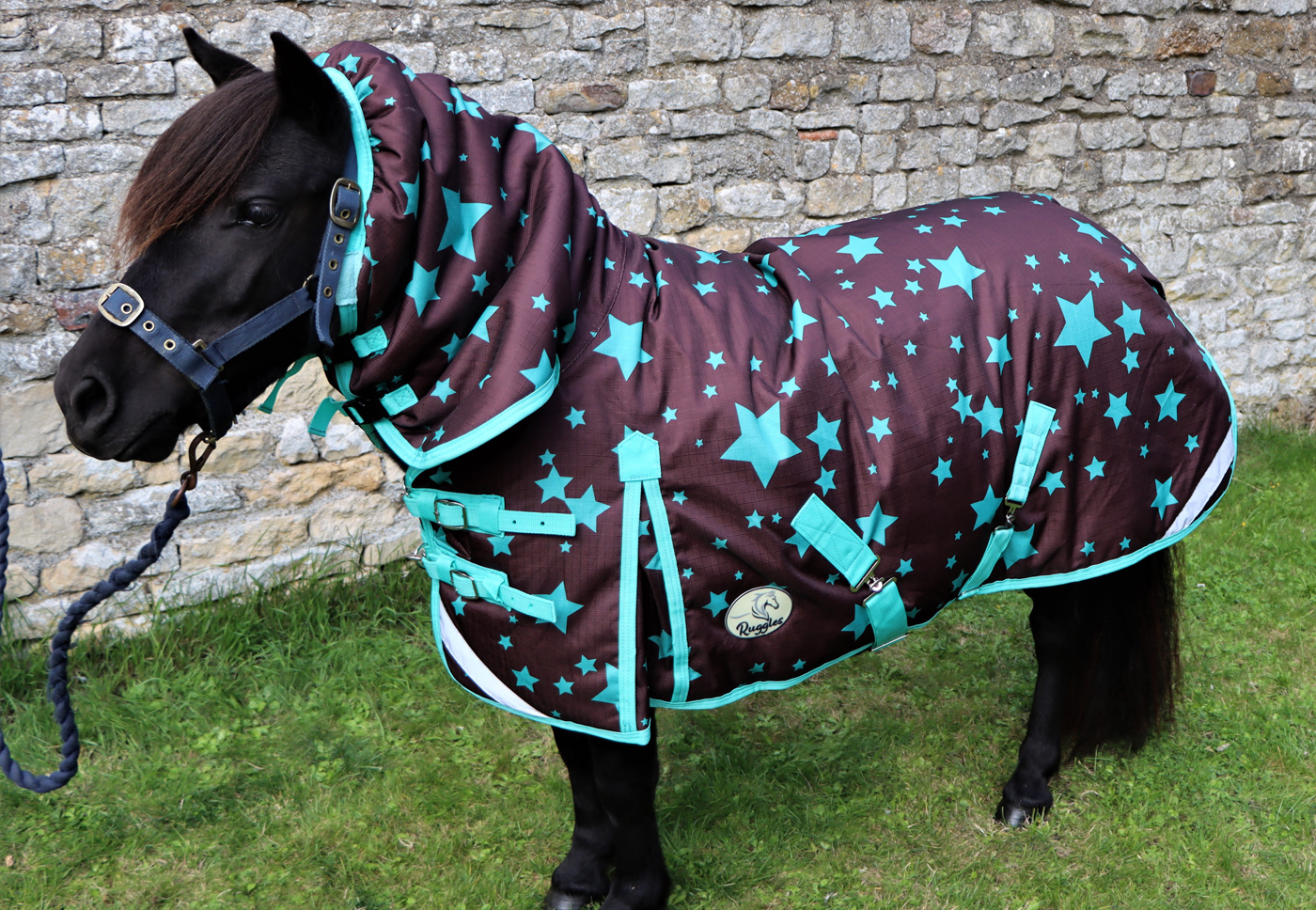 Image-5-280g-Combo-Turnout-Rug_1400x788