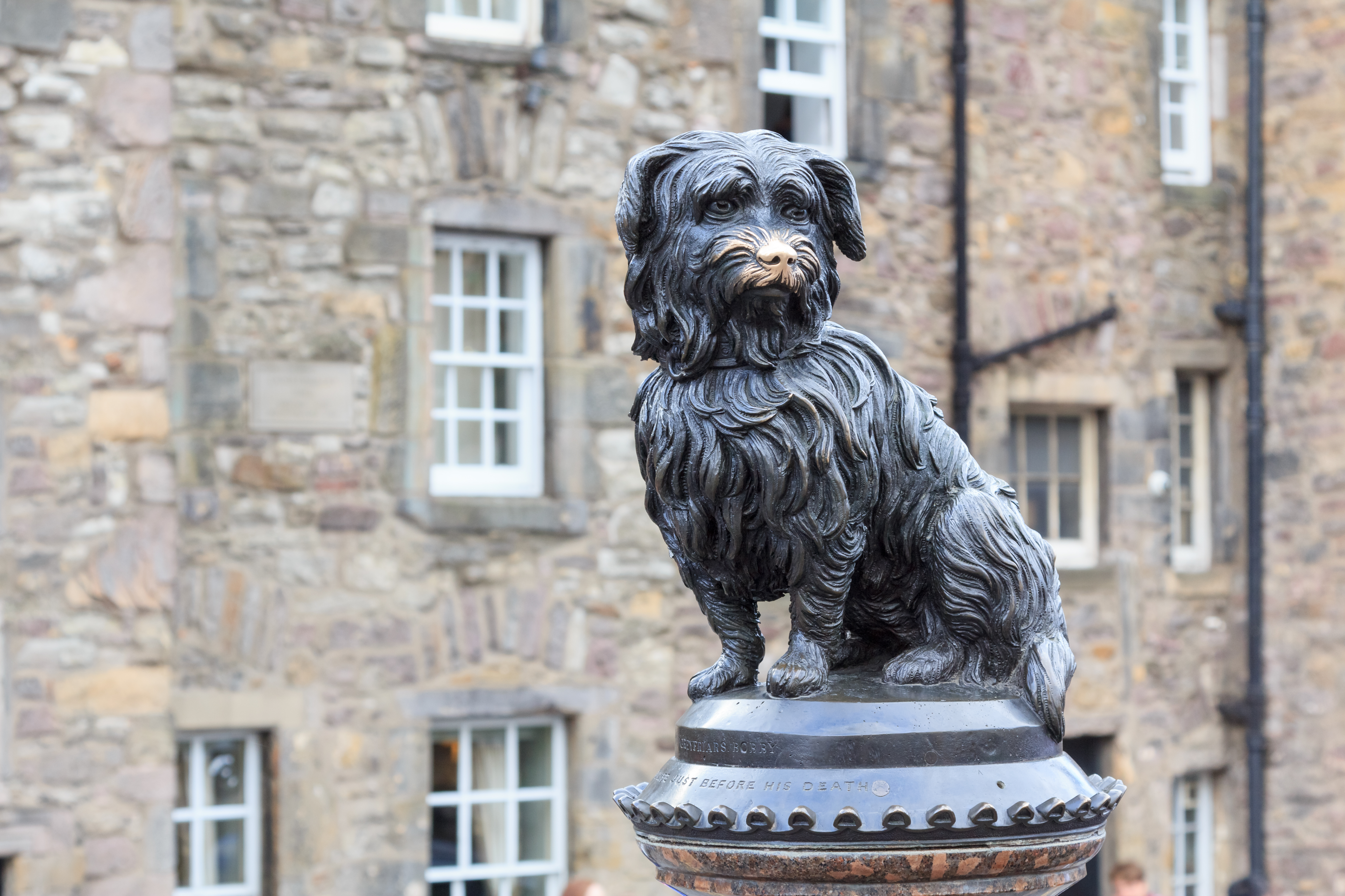 Bronze statue of a Skye terrier