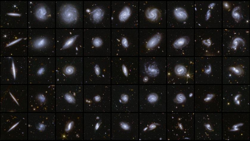 An image with many panels showing galaxies of different shapes