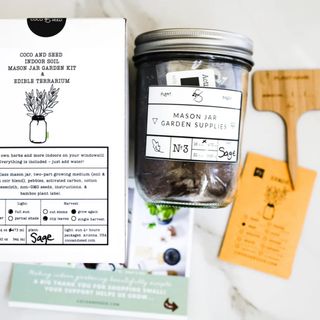 Mason jar herb growing kit