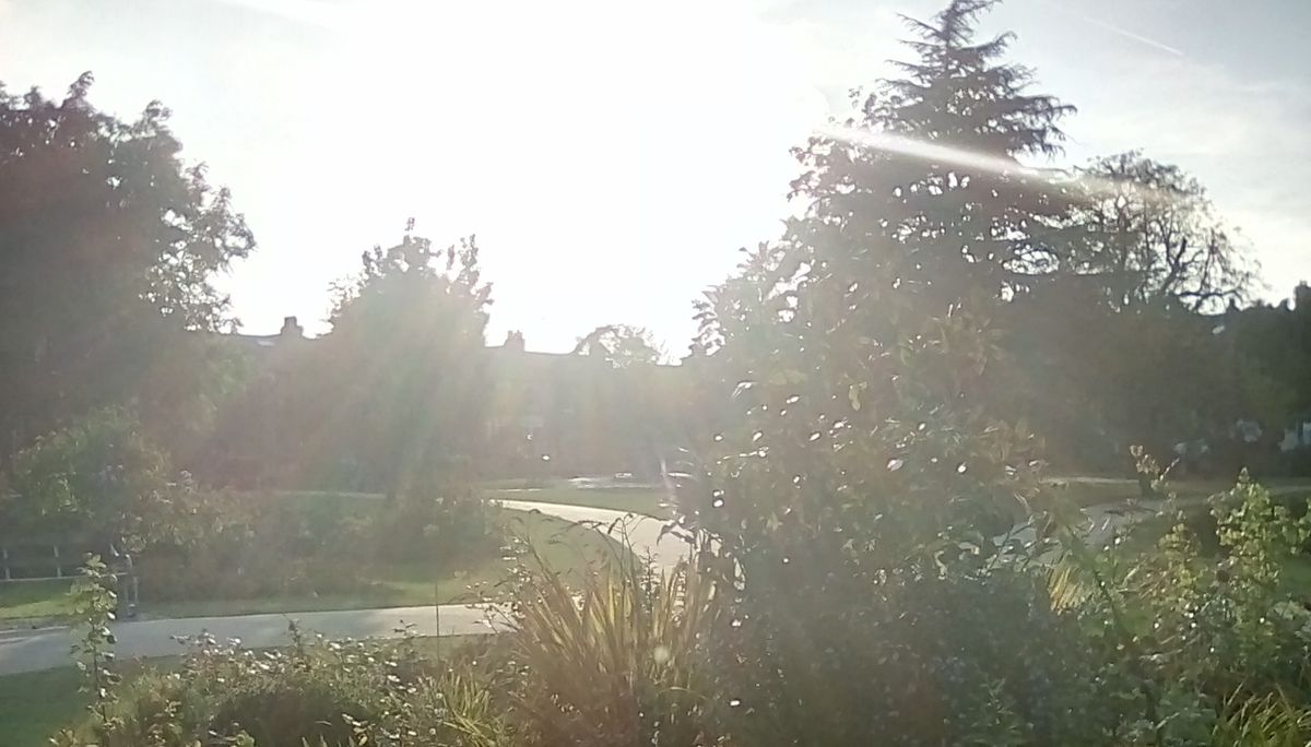 Limited lens quality makes lens flare take over the scene when you shoot into the sun.