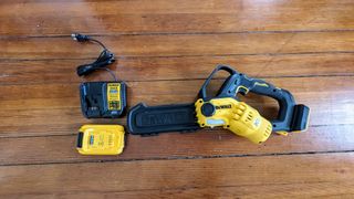 DeWalt DCCS623B 20V MAX 8 in. Brushless Cordless Battery Powered Pruning Chainsaw being tested in writer's home