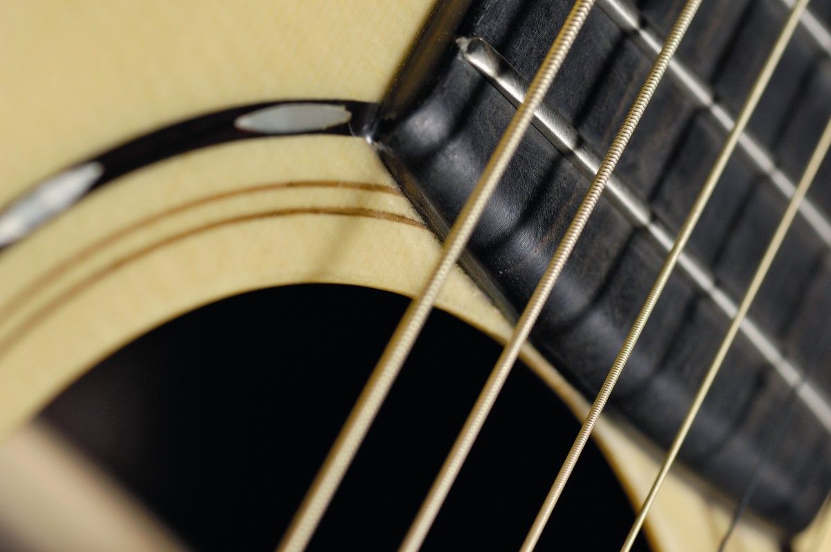 The decoration around the soundhole is clean and subtle, but a bit underwhelming