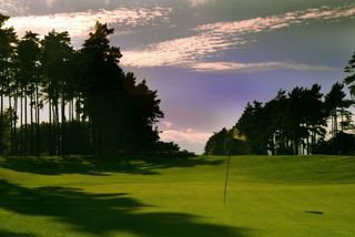 The delightful tree-line fairways at Forest Pines