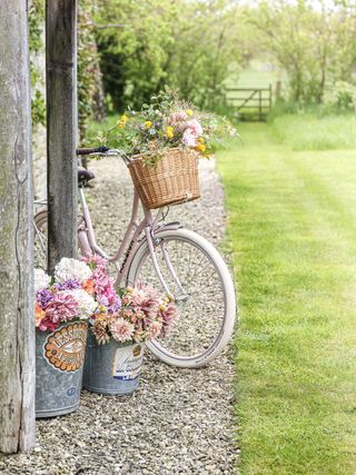 cottage garden with pebble path and lawn and bicycle and flowers in buckets