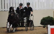 Emily Ham and Mr J driving indoors