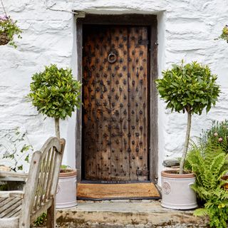 Front door flanked by bay trees in pots