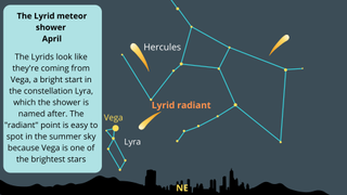 Graphic showing the Lyrid radiant and meteors appearing to originate there.