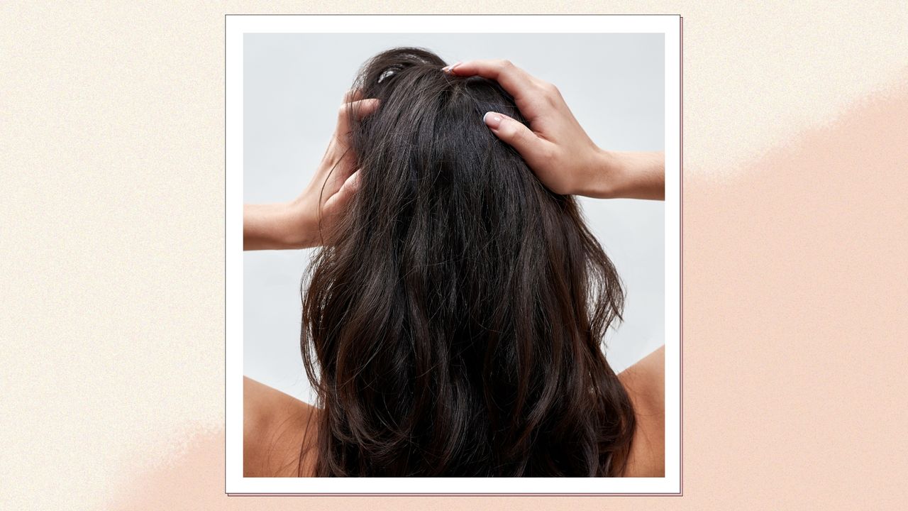 A close up of the back of a woman&#039;s head as she tousles the roots of her hair with her hands/ in a cream and peach template