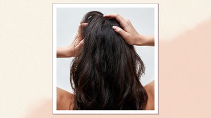 A close up of the back of a woman's head as she tousles the roots of her hair with her hands/ in a cream and peach template
