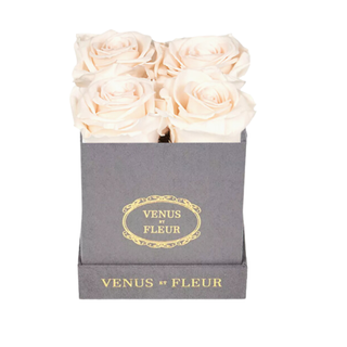 Venus et Fleur Petite Square Suede Box with Pure Blush Roses