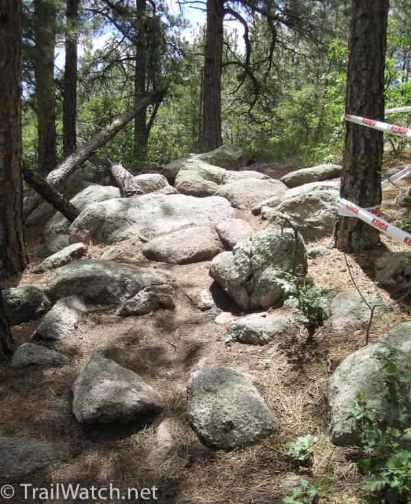 Cougar's Shadow trail actually had a cat sighting during the women's race
