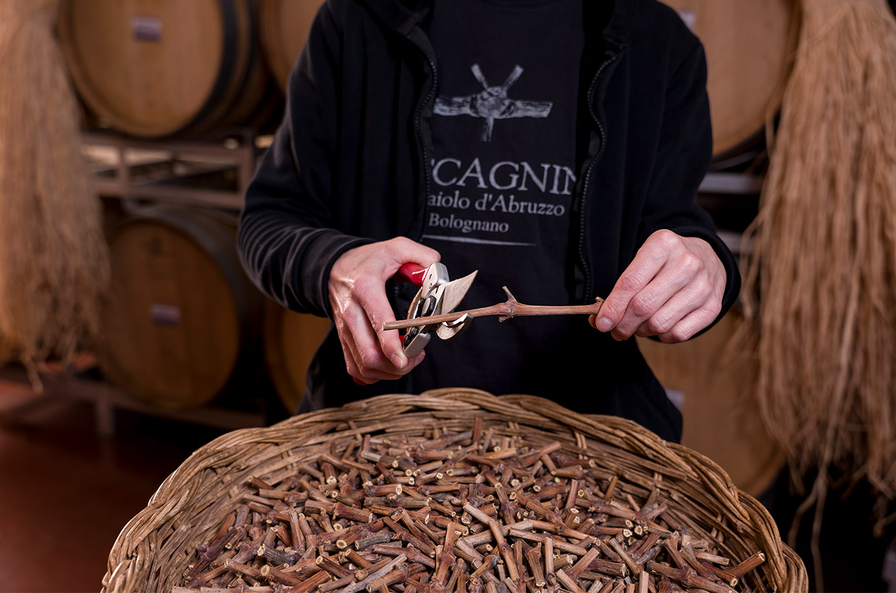 Preparing the Tralcetto labels