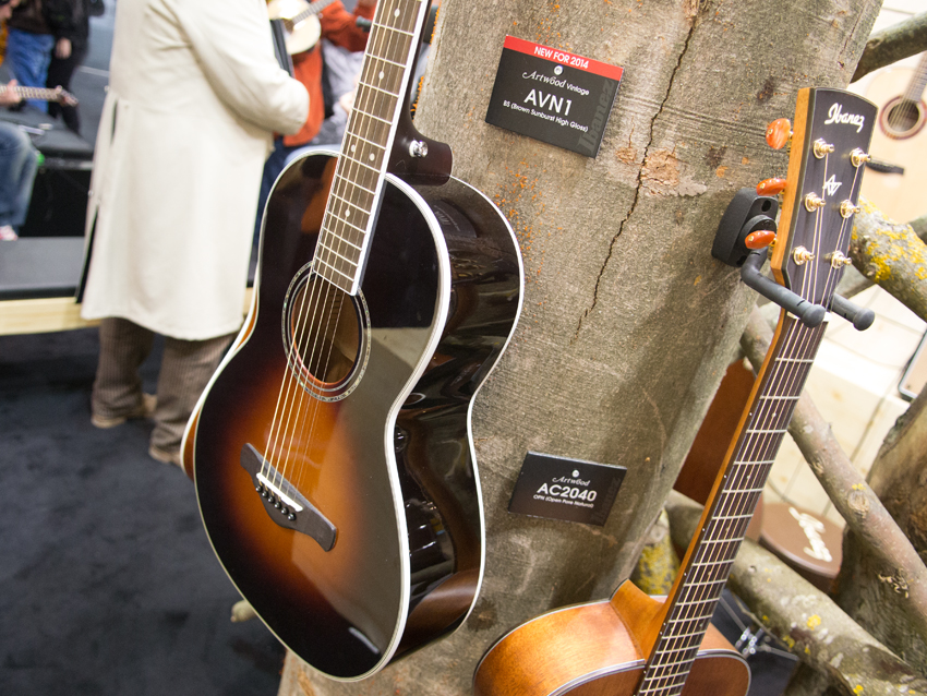 AVN1