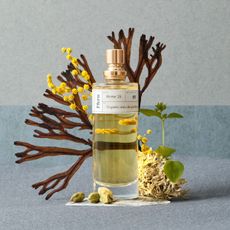 Ffern Winter 26 imagery