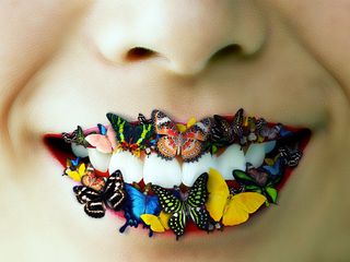 Butterflies - Mark Lawrence