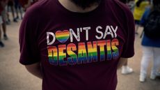 Florida opponent of "Don't Say Gay" law