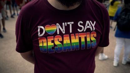 Florida opponent of "Don't Say Gay" law