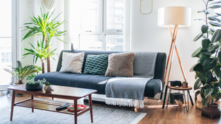 Living room with plants