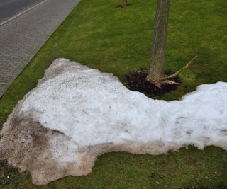 Snow thawing on a lawn in winter