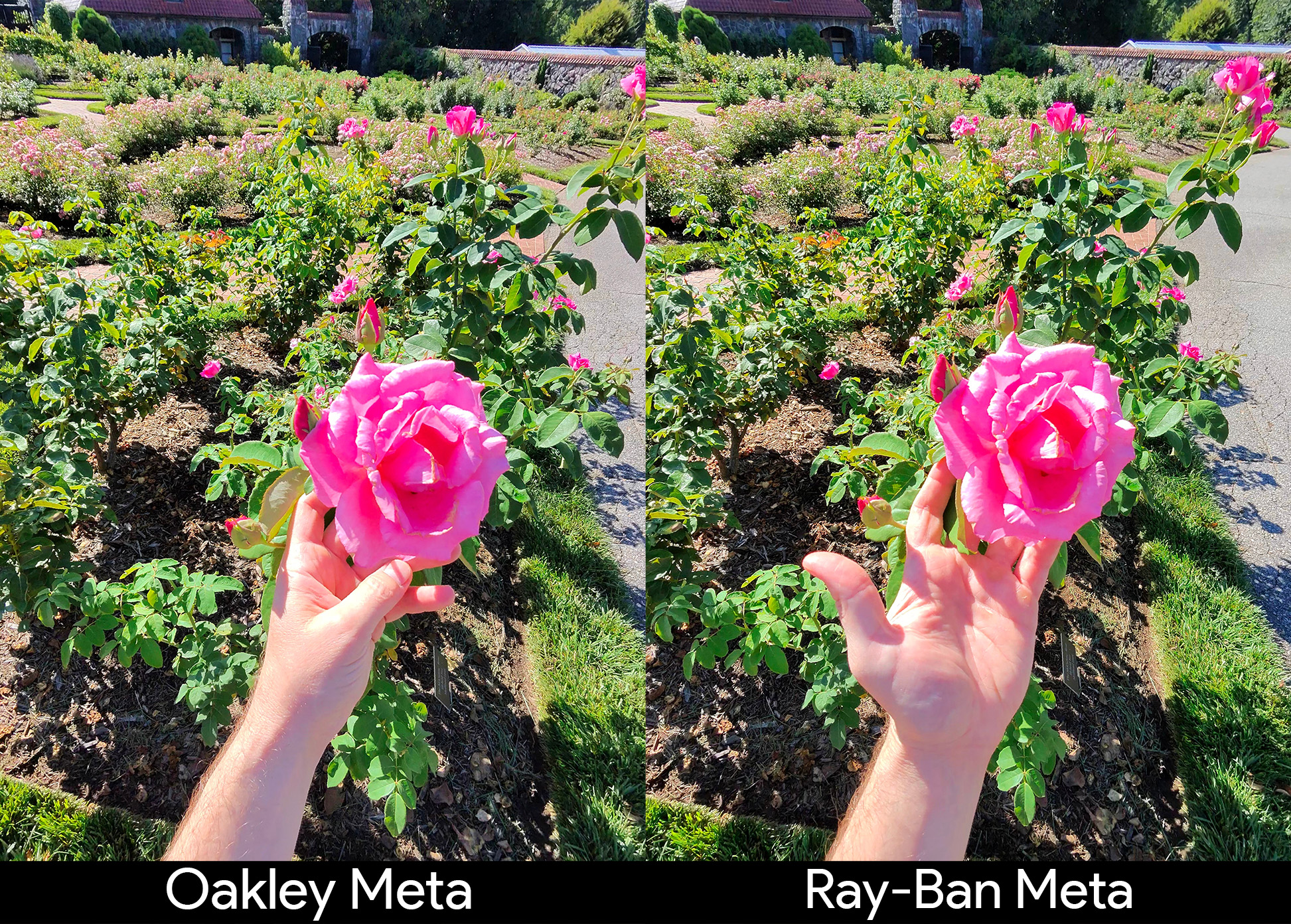 Comparing the picture quality of Oakley Meta HSTN Smart Glasses and Ray-Ban Meta Smart Glasses
