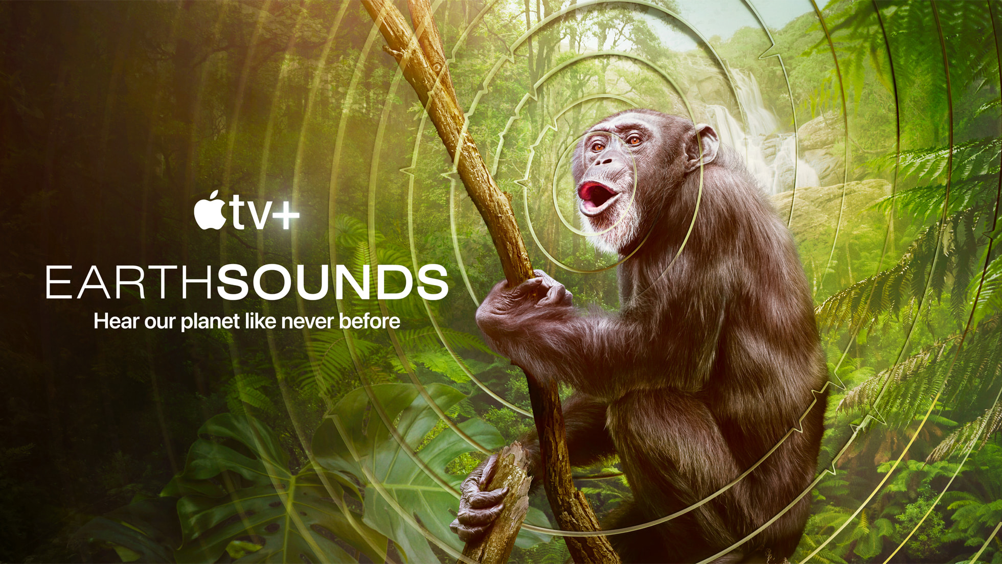 Apple TV Plus' new documentary might be the most ambitious nature program ever — Tom Hiddleston and Earthsounds premieres February 23