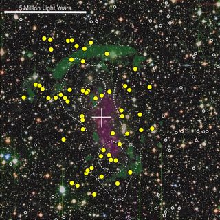 This composite image of the 'Sausage' merging galaxy cluster CIZA J2242.8+5310 was made using data from the Subaru and Canada France Hawaii Telescopes (CFHT). The white circles indicate galaxies outside of the cluster, while yellow circles are cluster galaxies, where accelerated star formation is taking place. Green hues trace out shock waves and purple marks hot X-ray-emitting gas between the galaxies that emits X-rays.