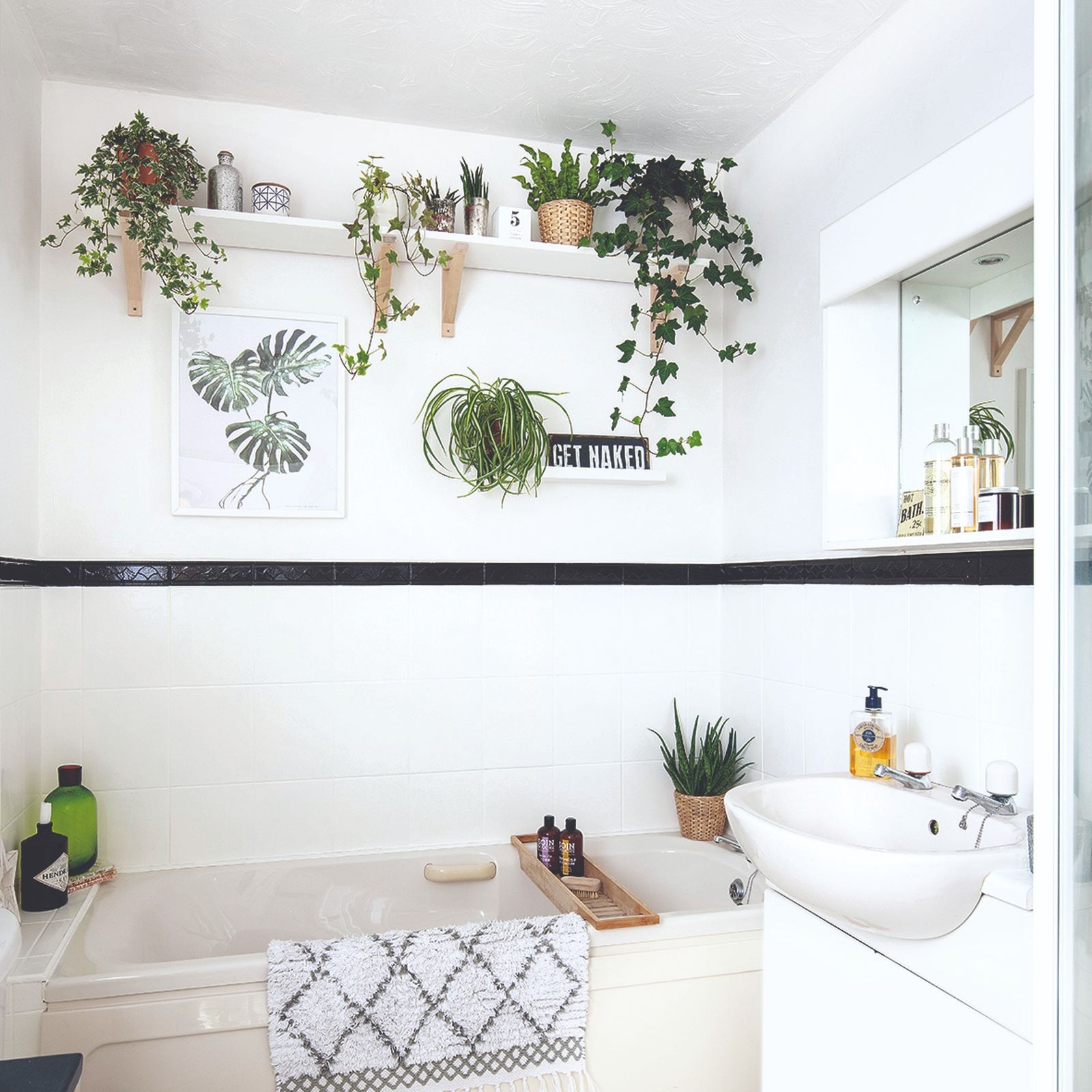 7 best bathroom plants that absorb moisture | Ideal Home