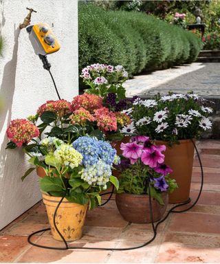 best self watering gadgets and accessories, self watering system for planters and pots with hose feeding water to each pot full of flowers