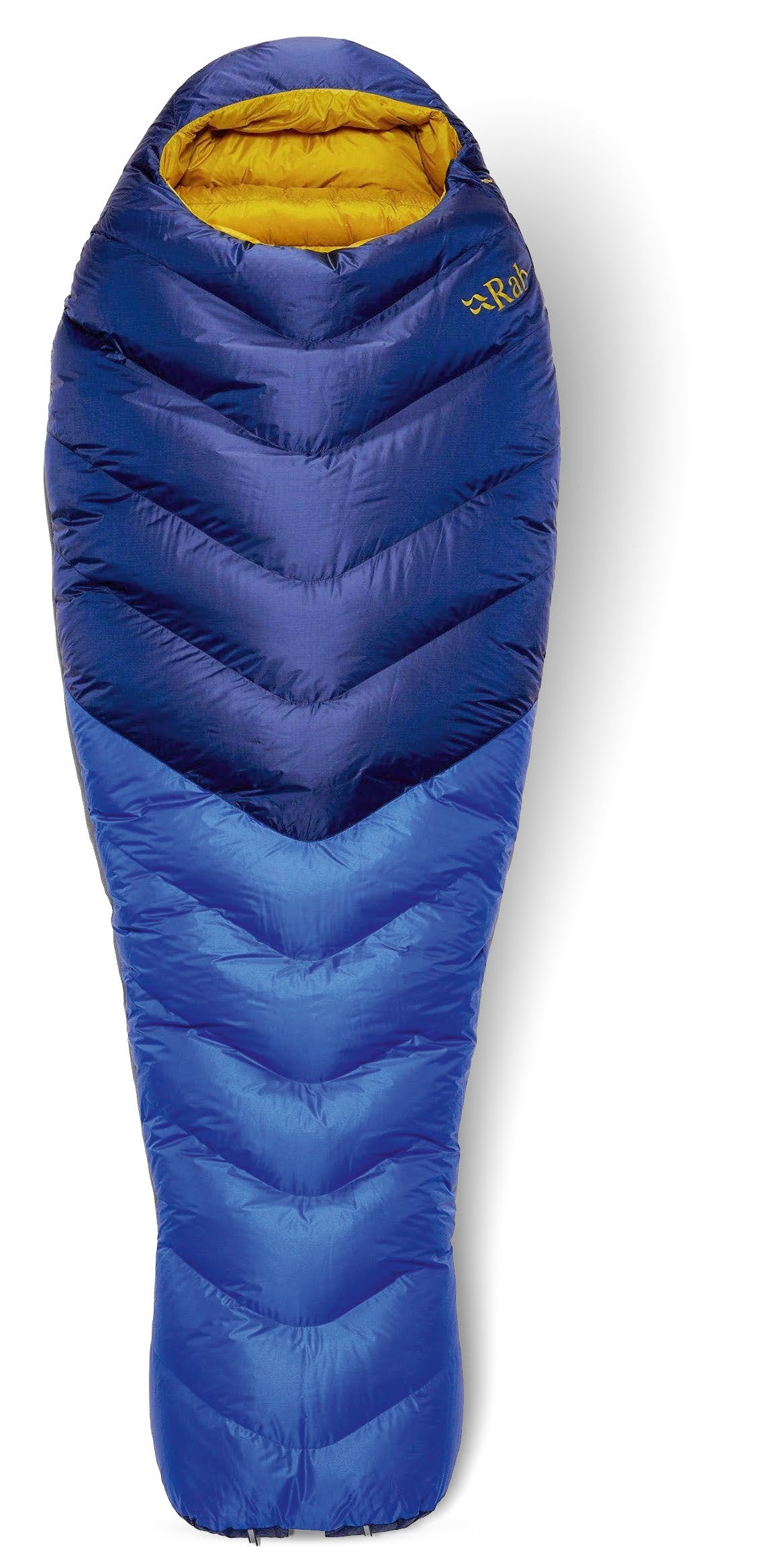 TTT382.feat_main.rabneutino600