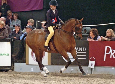 2004: Chiddock Over the Limit