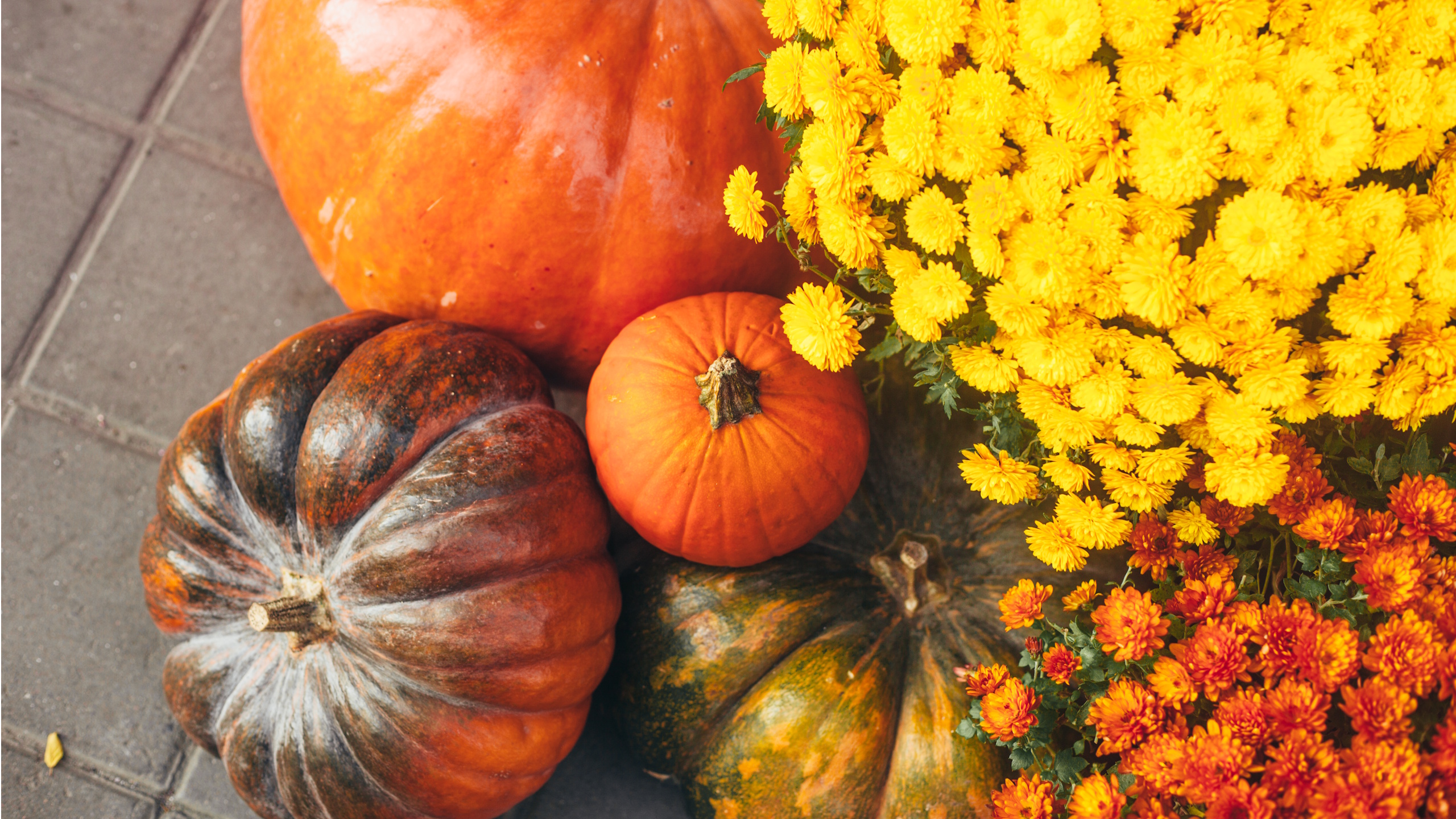 Pumpkins and mums