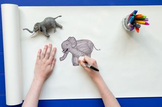 Draw the details on the elephant