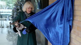 Camilla, Duchess of Cornwall with Beth, her jack-russell terrier