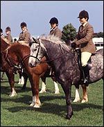 8D54FAB3-6EE2-445B-A470-C2D87886AA86.jpg