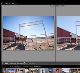 download a free trial of photoshop lightroom 5