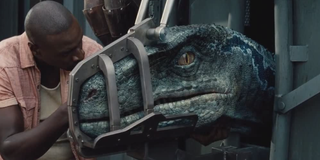 Blue in Jurassic World