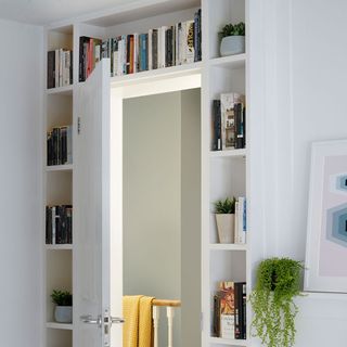 open book shelve with book green foliage